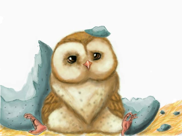 "If only I could hatch again..."