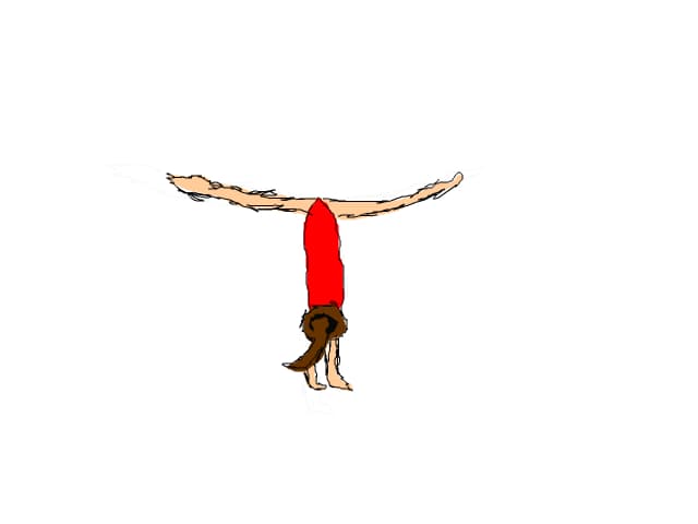 o gimnasta