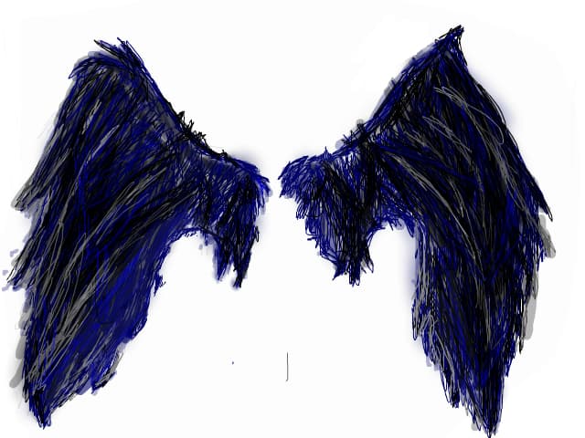 Wings