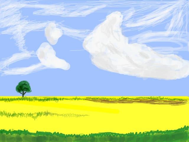Peisaj