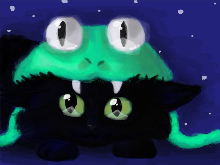 Black Kitten :3