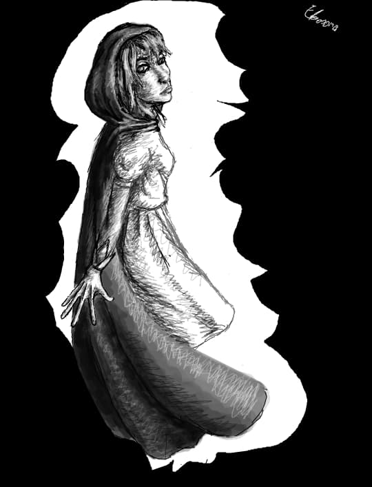 Schita