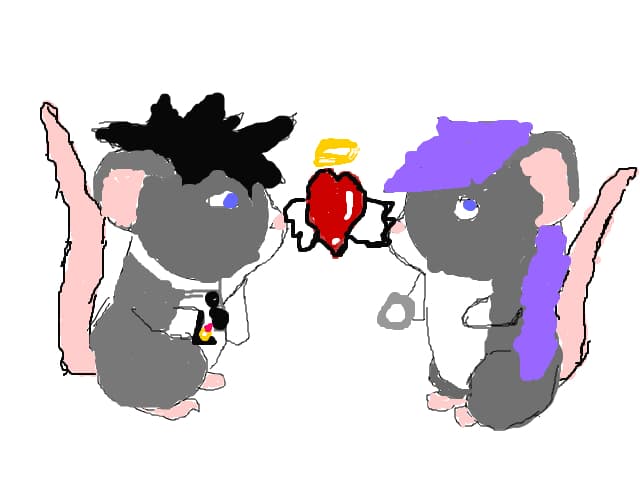 Echipa transforrmice de Valentine\'s day