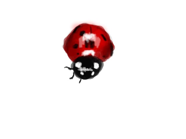 O buburuza
