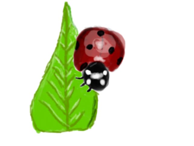 Buburuza