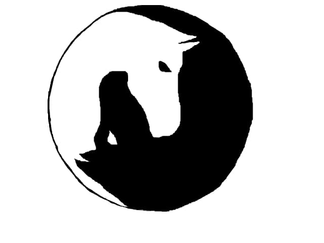 yin &amp; yang