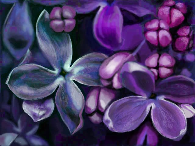 Lilac