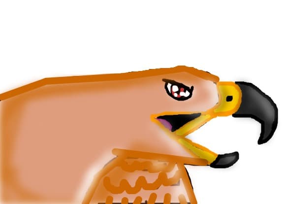 Vultur