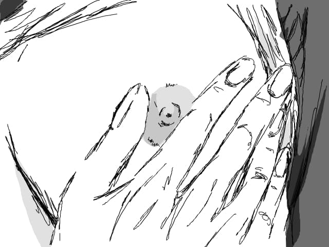 Touch