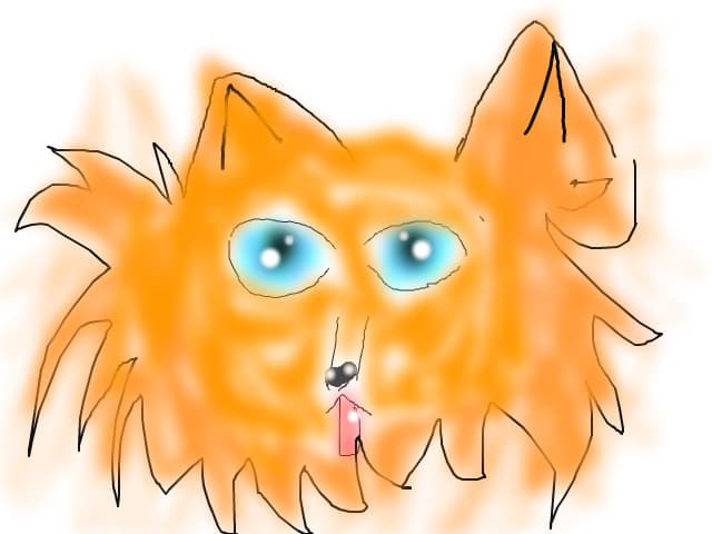 catelul Pufi