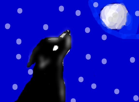 The  quiet night