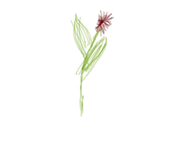 Un fel de floare