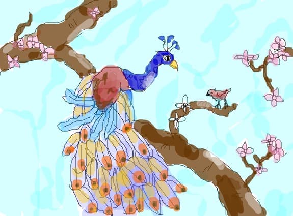 The peacock