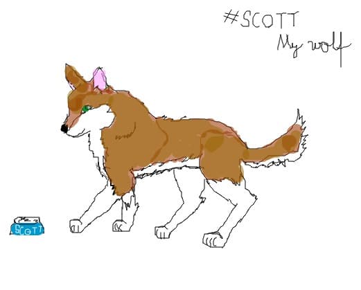 SCOTT