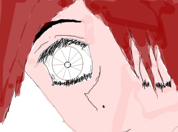 The eye