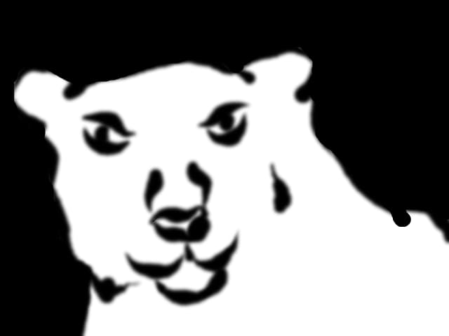 white lion