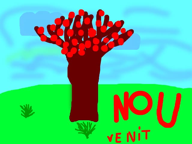 nou venit