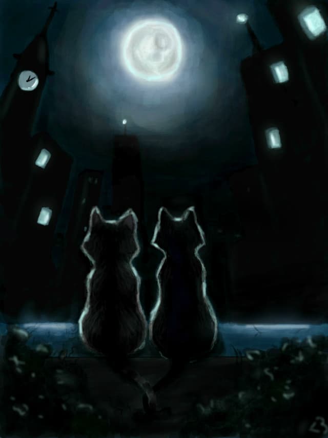 Meow or never
