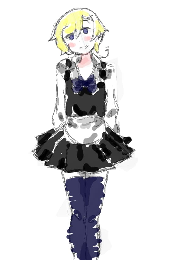 maid aph norway bc why not