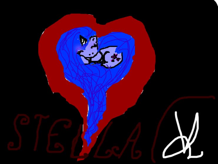 stella