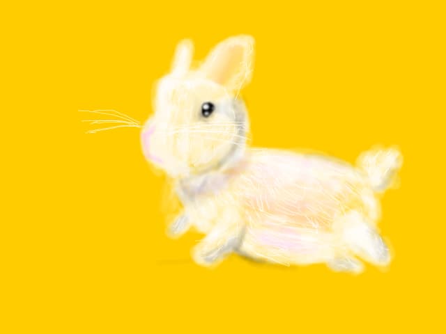 Rabbit