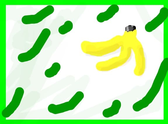 Banane in palmier