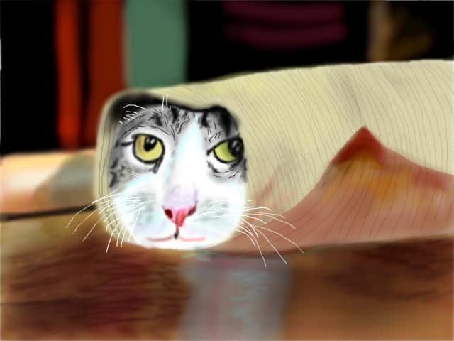 Meow! - 6 mai 2016