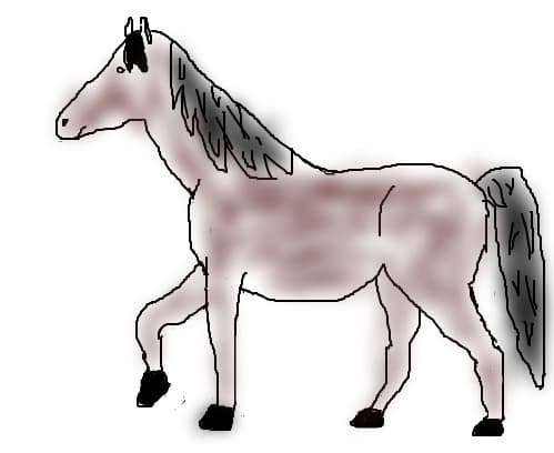 TheBrownHorse!