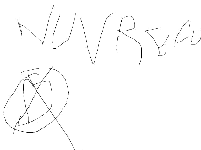 NICIUN RAVEN