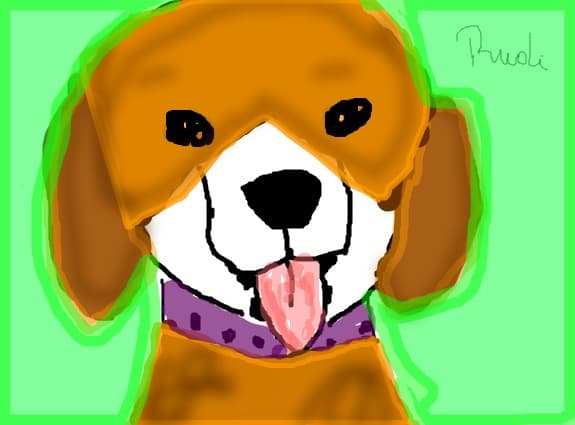 rudi