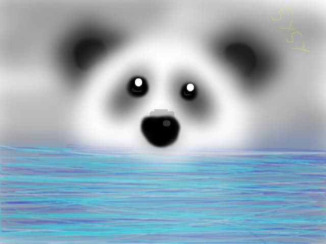 urs panda