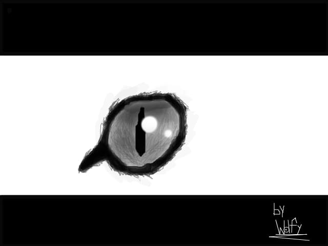 The cat\'s eye