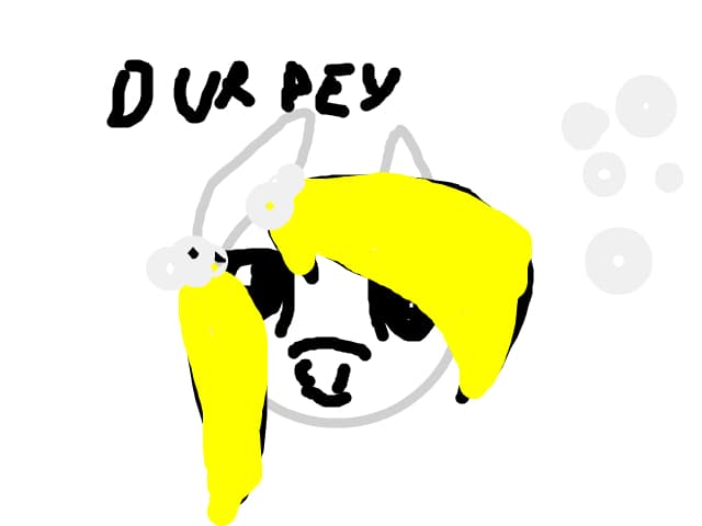 pony