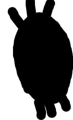ochi negru infricosator (atentie: foarte infricosator)