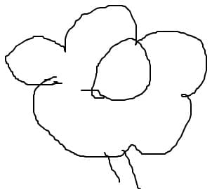 floare foarte frumoasa
