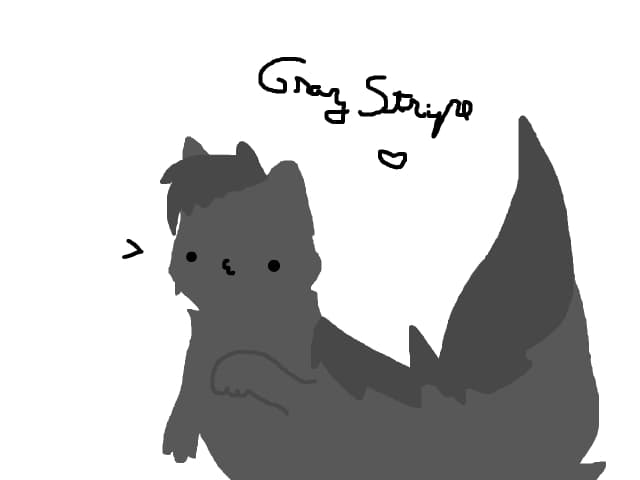 GRAY STRIPE