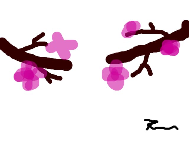 flori