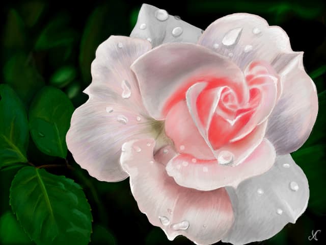 rose