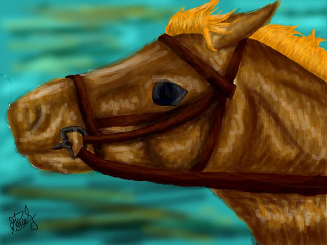 horse