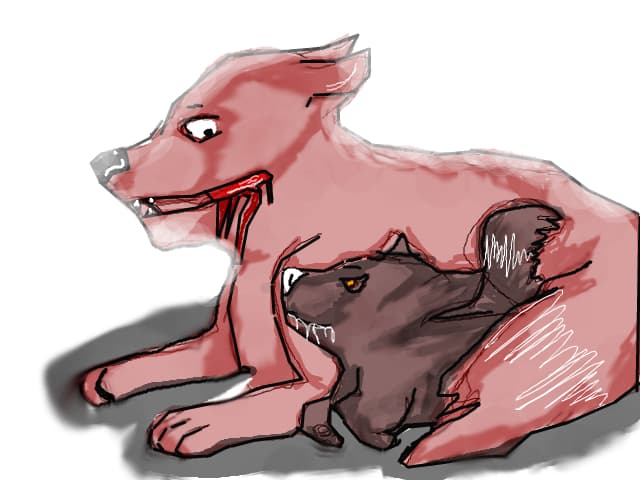 Smile Dog x BIG POL