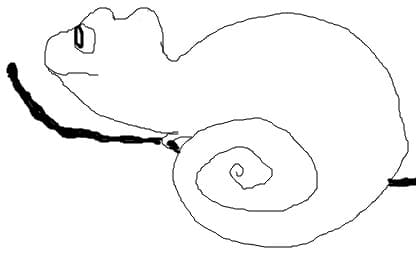 Cameleon