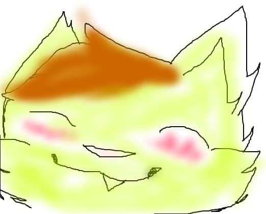 Cute cat