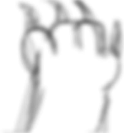 Paw