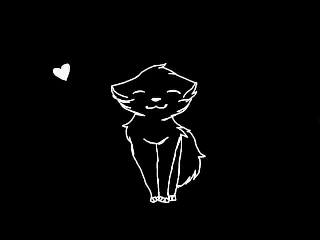 Kitty