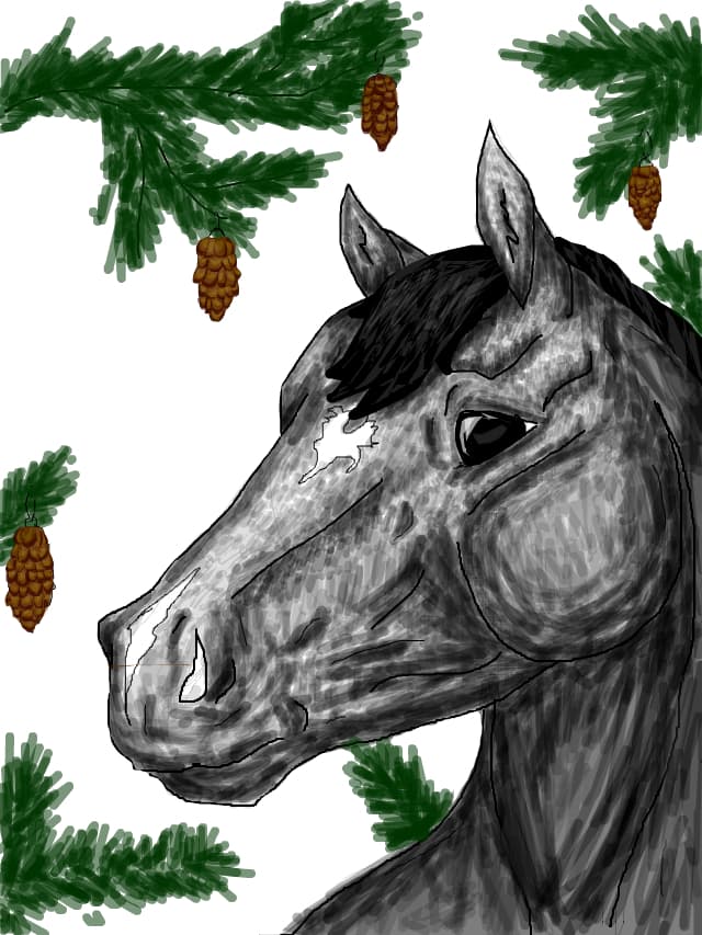 horse