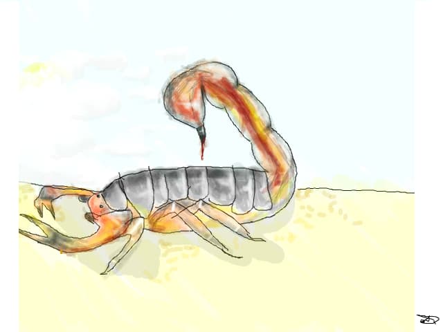 Scorpion