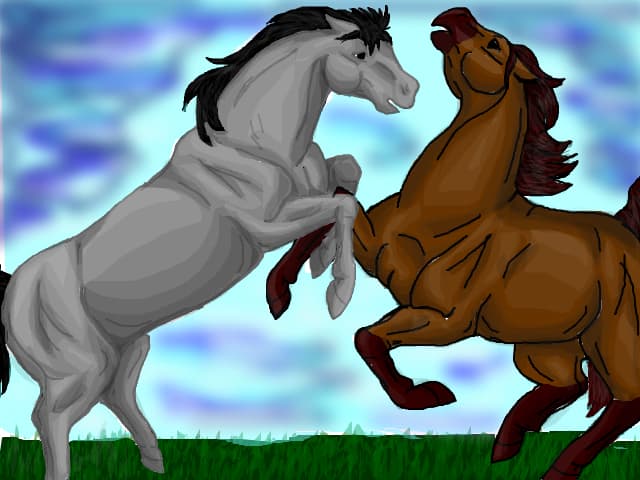 horses