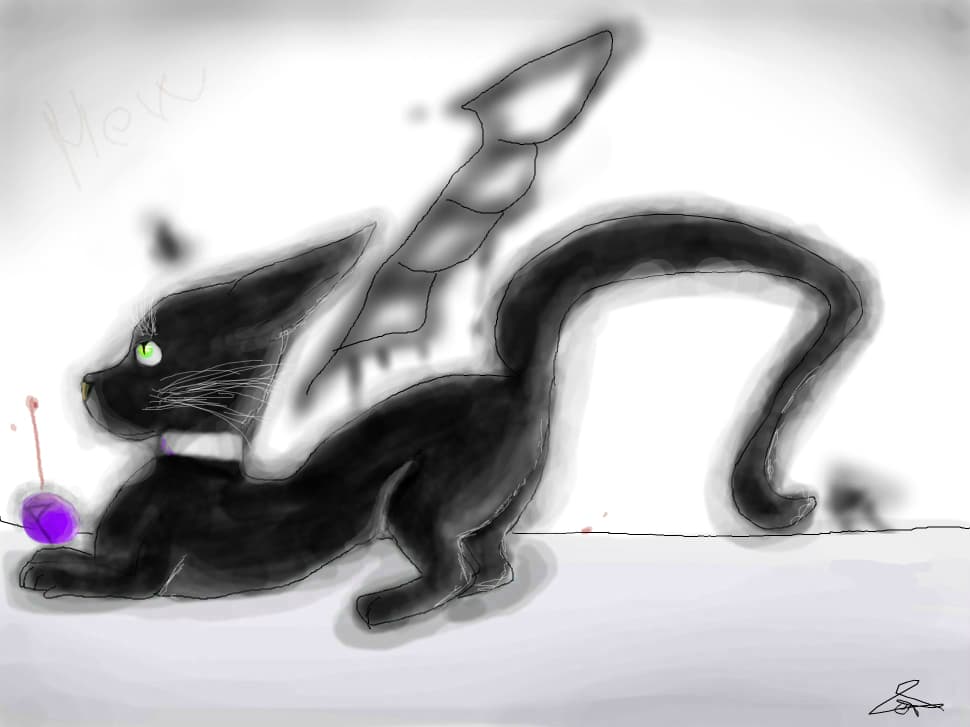 Pisica noir