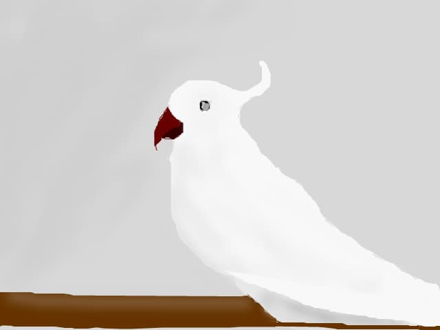 papagal