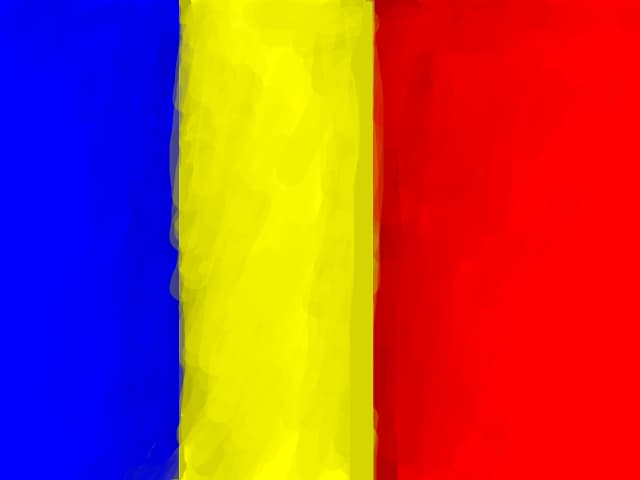 Desen #2047067